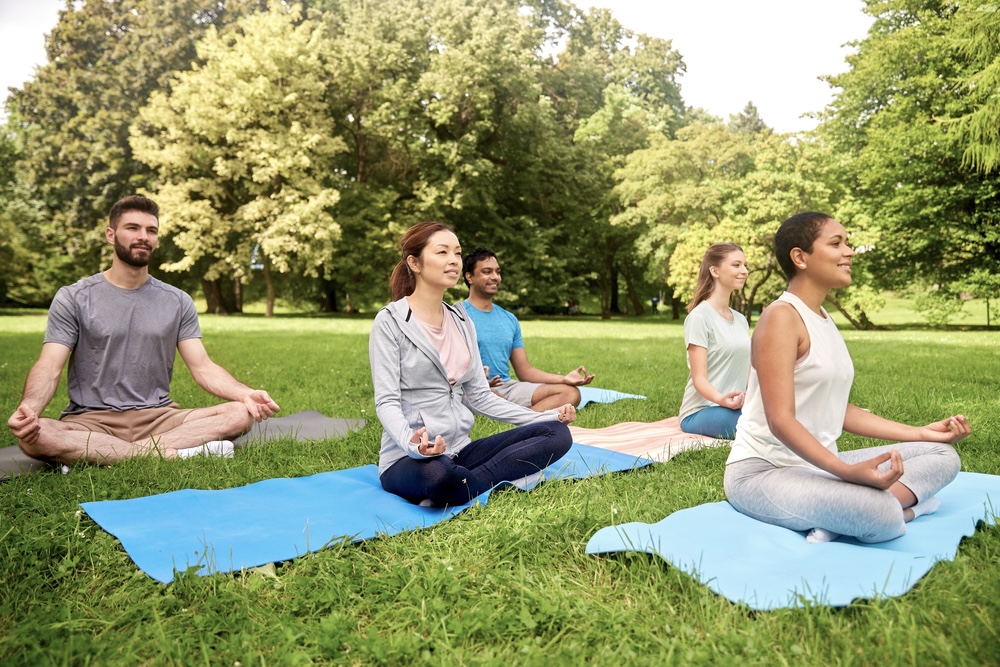 Group of individuals doing yoga in a park