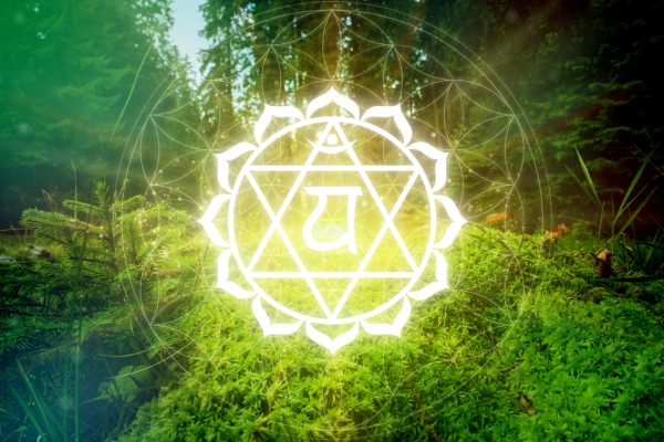 Glowing heart chakra symbol over a forest