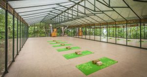 yoga-studio-green-house-02