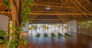 yoga-studio-jungle-studio-01